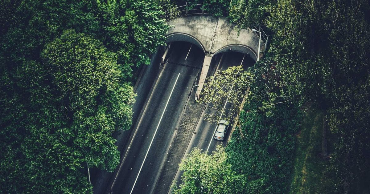 Canvas vs. WebGL: Choosing the Right Web Rendering Engine